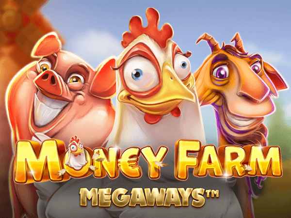 Infinity bet jogos